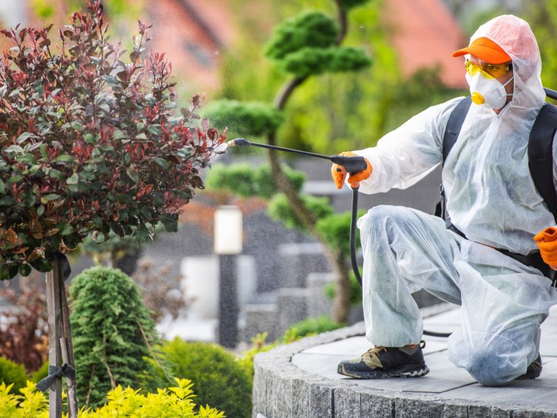 İpekyolu Haşere İlaçlama